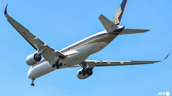 美国乘客起诉新加坡航空公司 称对虾餐过敏