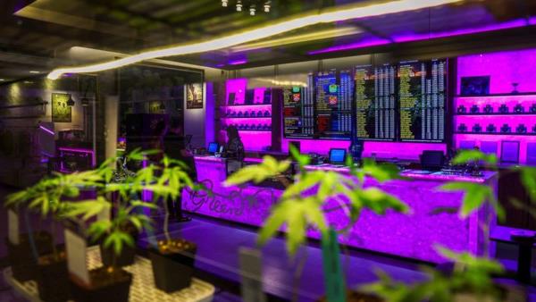 泰国大麻销售店担忧政府收紧销售规定