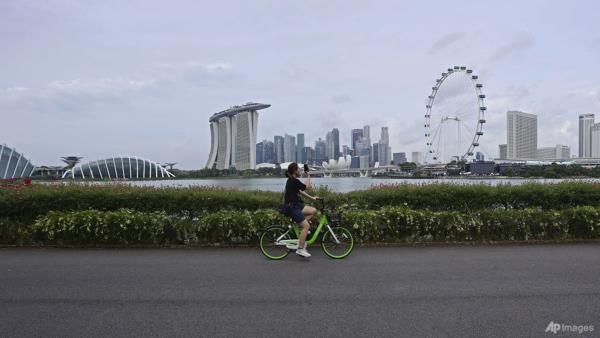 新加坡5月核心通胀率降至0.6% 食品价格有所回落